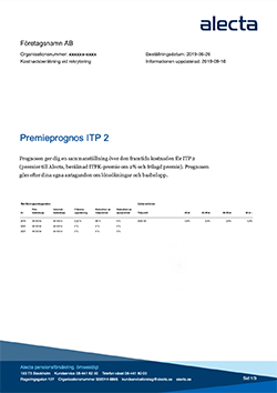 Exempelrapport